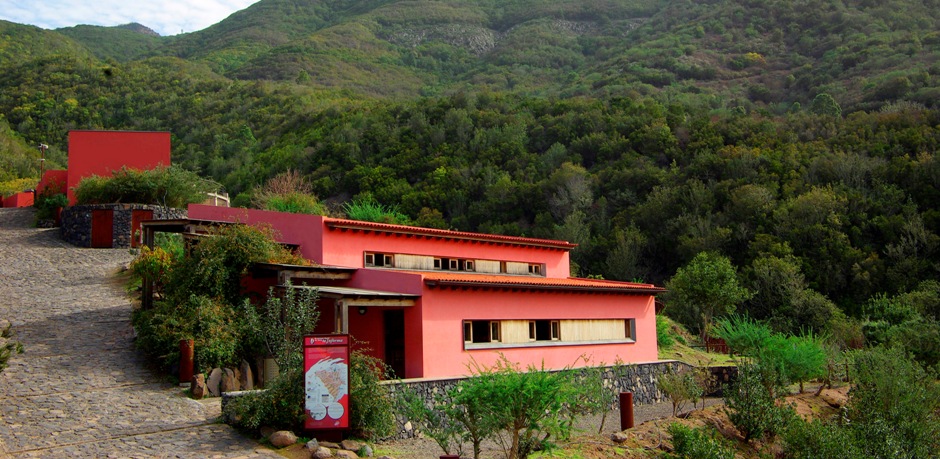 BIENVENIDO AL ALBERGUE DE BOLICO